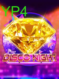 DiscoNight